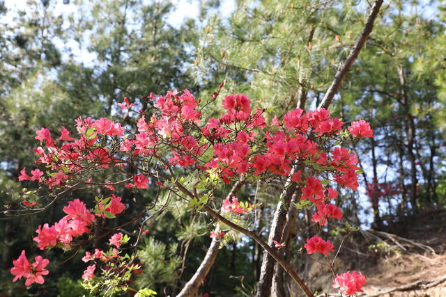 θ������ʱ��Ϊ��ѣ��