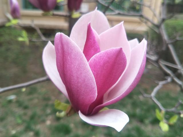 ��������������Է�ƻ����