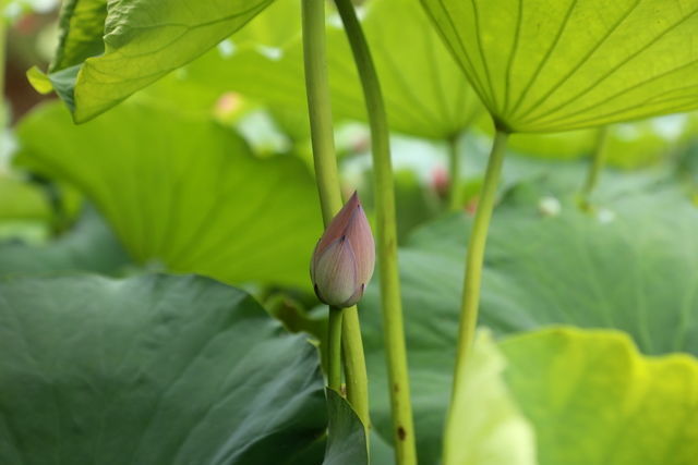 �ȷ������ʲô��