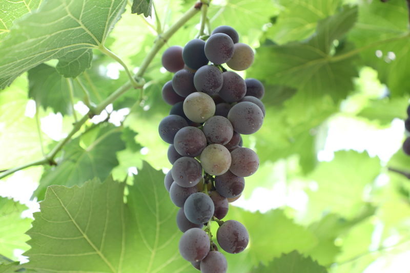 <a href=https://www.shuisutang.com.cn/ target=_blank class=infotextkey>ˮ����</a>