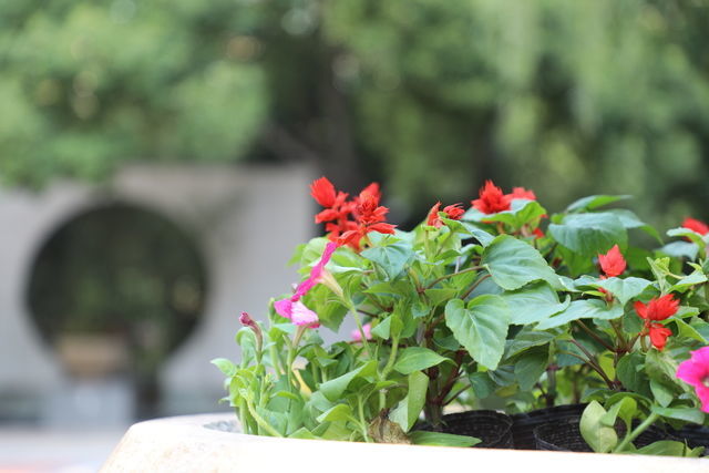 <a href=https://www.shuisutang.com.cn/ target=_blank class=infotextkey>ˮ����</a>