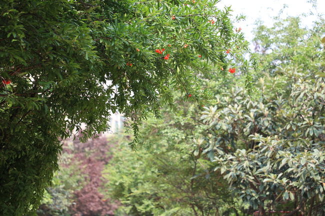 <a href=https://www.shuisutang.com.cn/ target=_blank class=infotextkey>ˮ����</a>