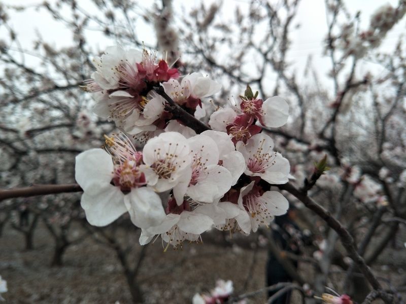 如何快速恢复肠胃功能