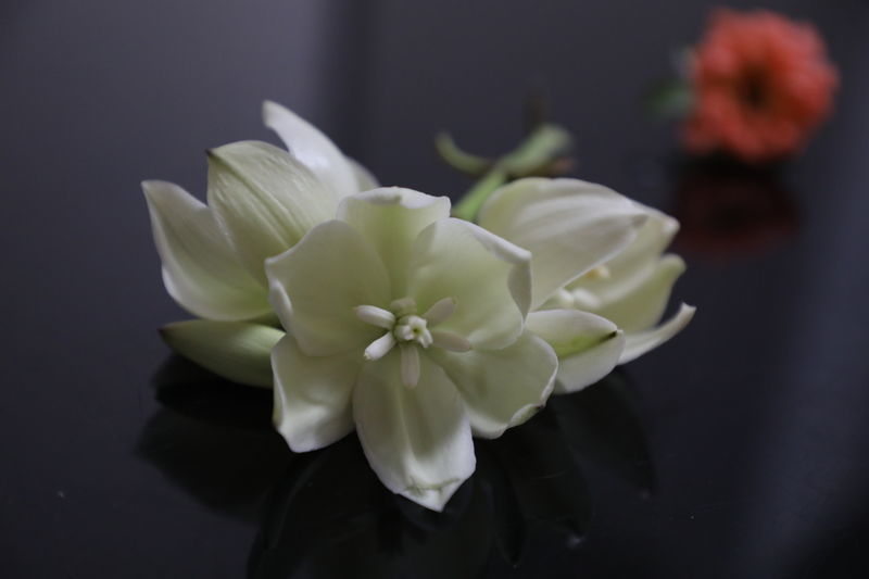 ��θ��������ֻ��ǰ���