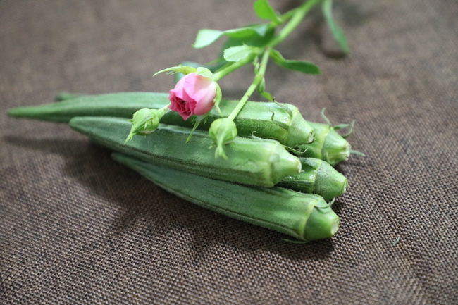 <a href=https://www.shuisutang.com.cn/ target=_blank class=infotextkey>ˮ����</a>