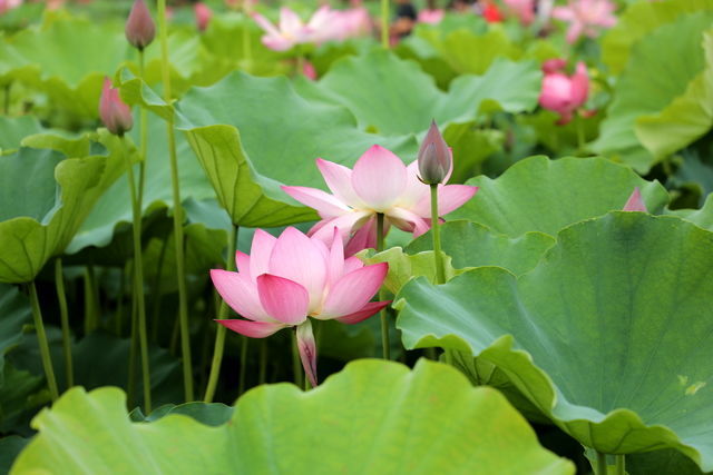 �i�����ʲô�ó�