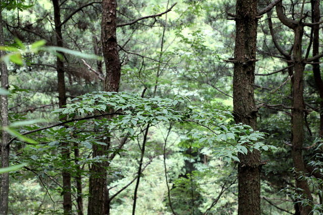 <a href=https://www.shuisutang.com.cn/ target=_blank class=infotextkey>ˮ����</a>