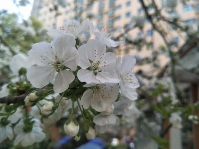 Ů����ϡ������