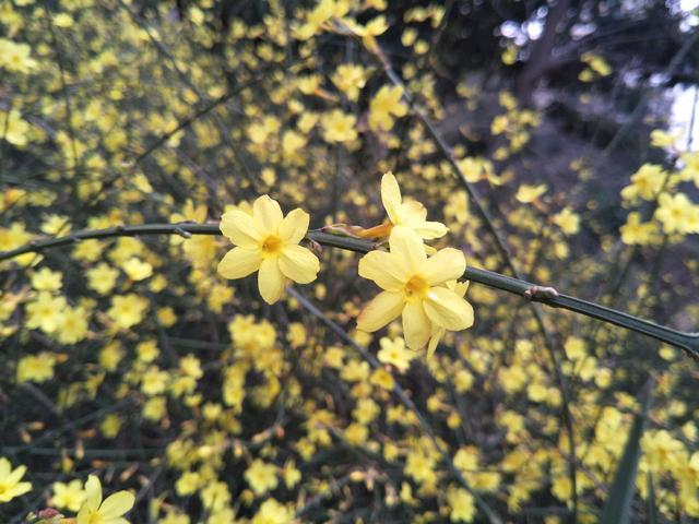 ��θ���õ���Ӧ��ע��ʲô