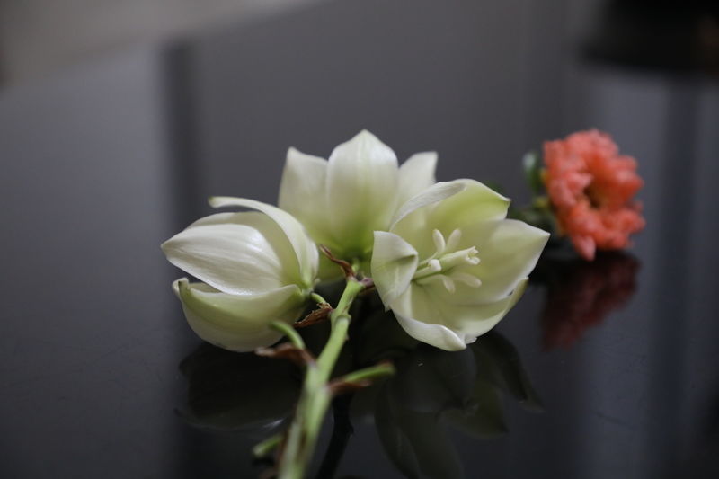 <a href=https://www.shuisutang.com.cn/ target=_blank class=infotextkey>ˮ����</a>