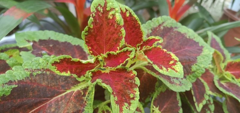 �������Ҷ��ʲô����