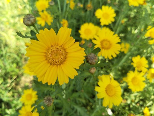 �ռ�����ô�������й���ζ