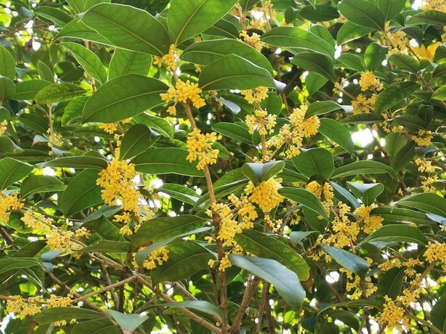 ��θ���õ��������ʺϳ�ʲô