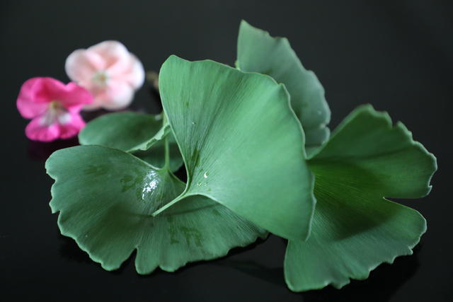 <a href=https://www.shuisutang.com.cn/ target=_blank class=infotextkey>水苏糖</a>