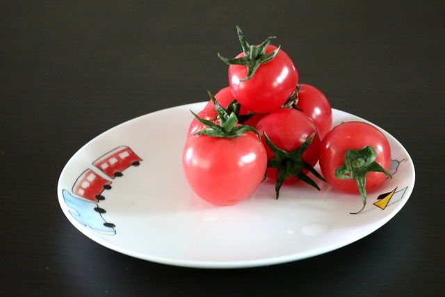 <a href=https://www.shuisutang.com.cn/ target=_blank class=infotextkey>ˮ����</a>