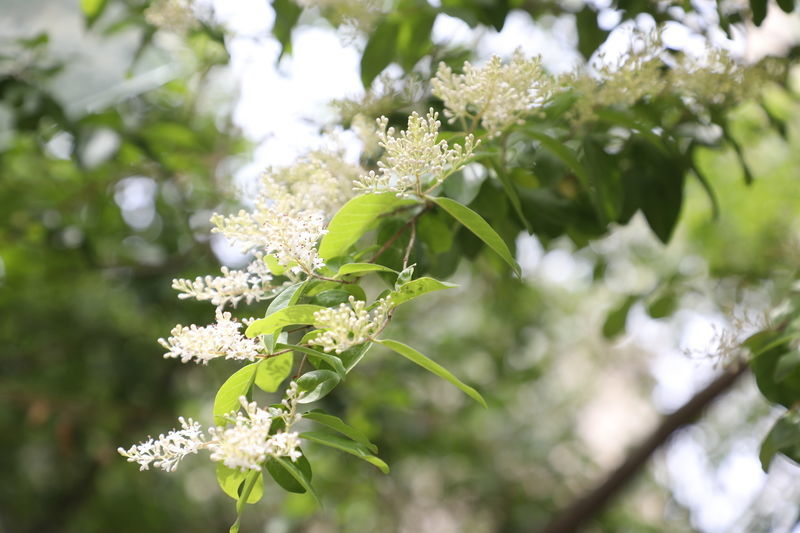 �״�����ô���ƺó�