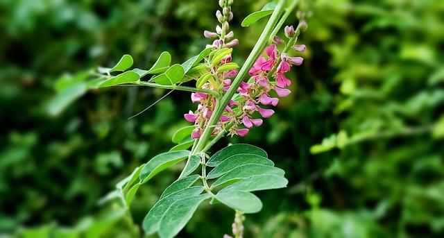 �Ź�����ô���ó���Ӫ������