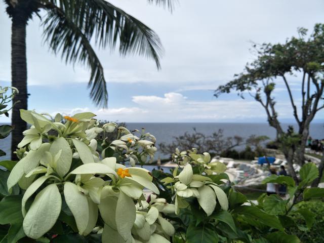 肠胃炎是什么原因造成的