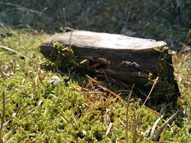 ���ܲ�����ʲô�˺ó�