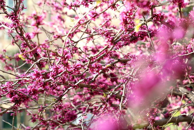 С������ô����ȷ