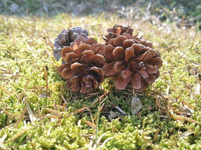 ��ͷ��ô��������ô����