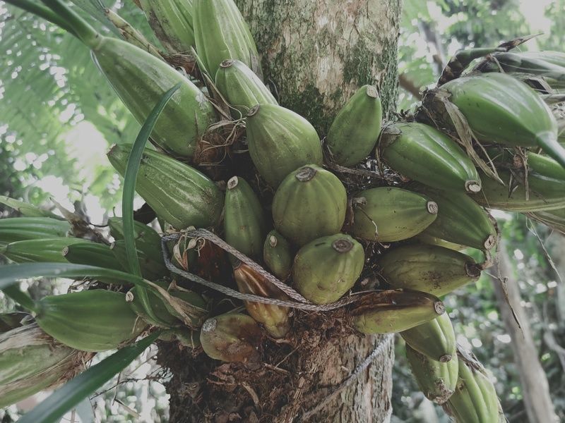 <a href=https://www.shuisutang.com.cn/ target=_blank class=infotextkey>ˮ����</a>