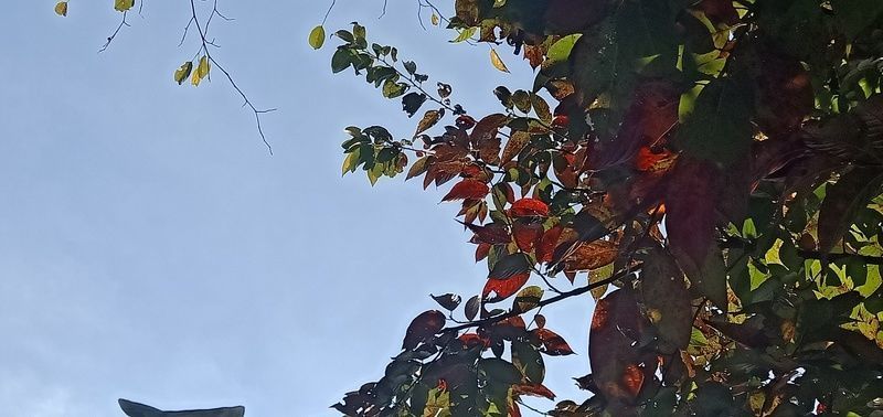 脾胃不和怎樣調(diào)理吃