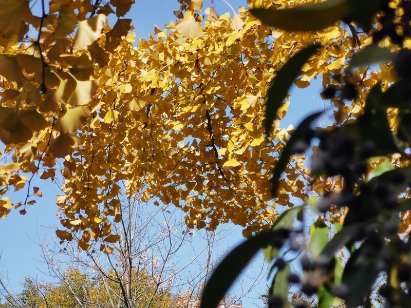 ���������İ˂�������