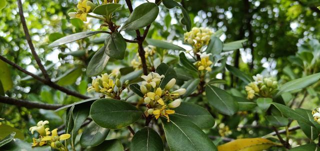 �����Ͳ�������ʲôԭ��