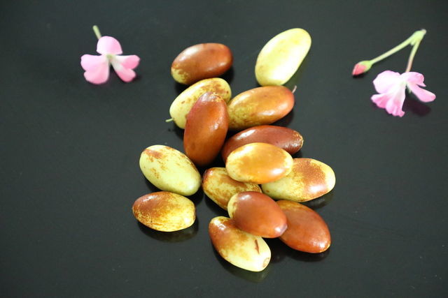 五常黑米怎么做才好吃