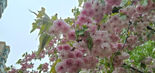 <a href=https://www.shuisutang.com.cn/ target=_blank class=infotextkey>ˮ����</a>