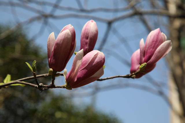 ���Ǳ��ؾ��Ǹ�к��ô����