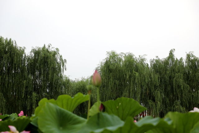 <a href=https://www.shuisutang.com.cn/ target=_blank class=infotextkey>ˮ����</a>