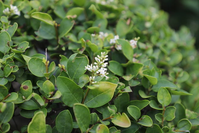 θ���ܲ��ܺ��̲�