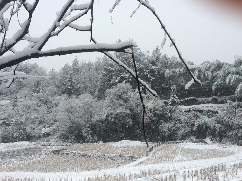 �����Ź�����ô���ó�