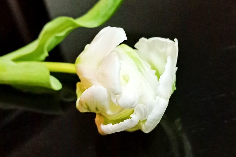 ����Ϊʲô���ܾ�����