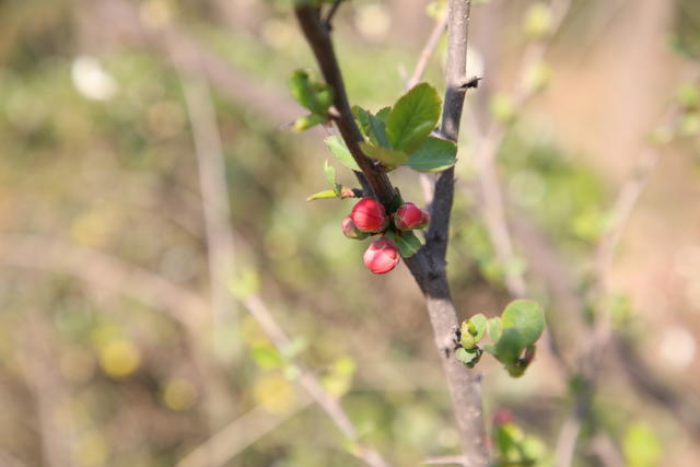 �ڶ�Ϊʲô��ˮ���ɫ