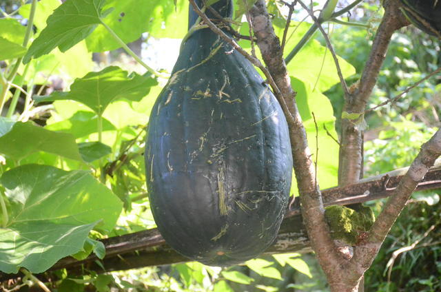 ������������ش�㲻����