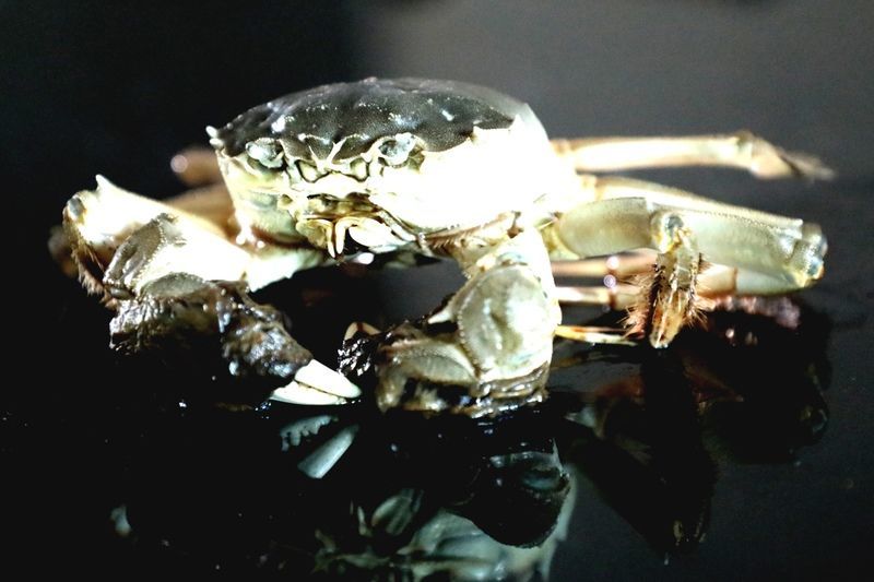 <a href=https://www.shuisutang.com.cn/ target=_blank class=infotextkey>ˮ����</a>