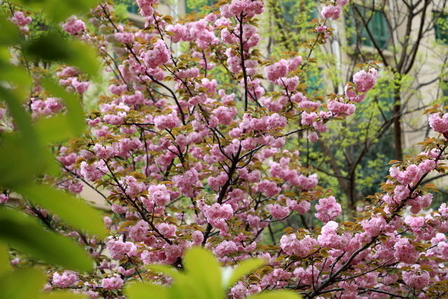 �����������ô���ó�