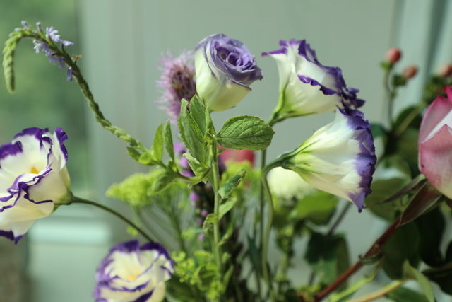 ���������ֲ�����