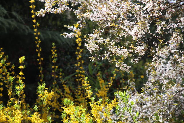 ���󷽱��������