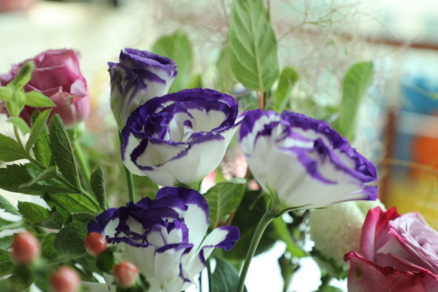 ��ôӵ��ǿ��ĳ�θ