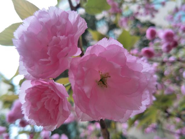 �ܲ���ô���Ժó�