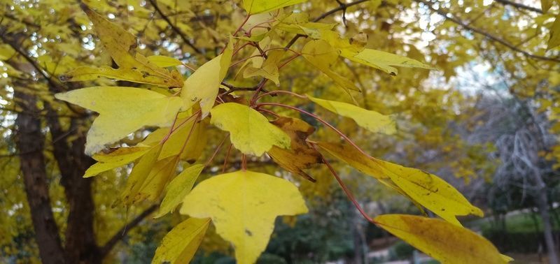 θ���䶯������ʾ