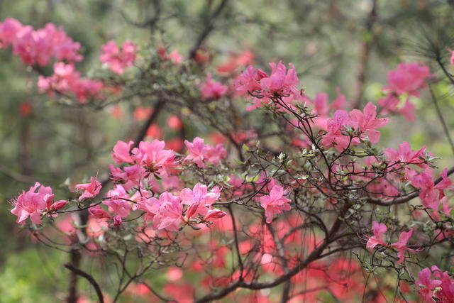 ˮ��������ô��ó���������