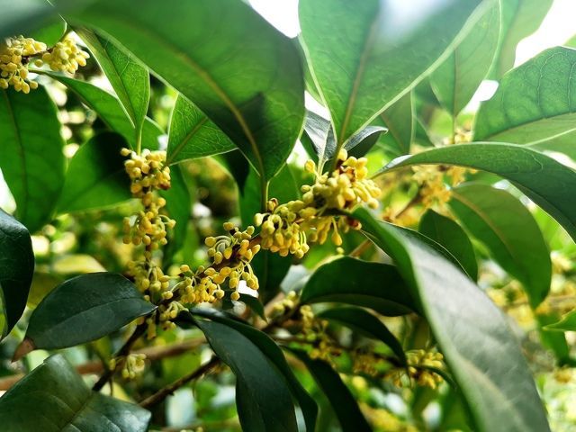 θ������ʲôʳ���