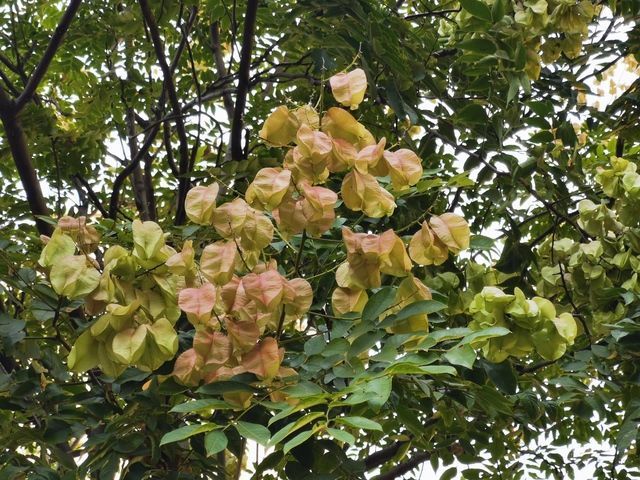 胃一直堵著不消化怎么辦