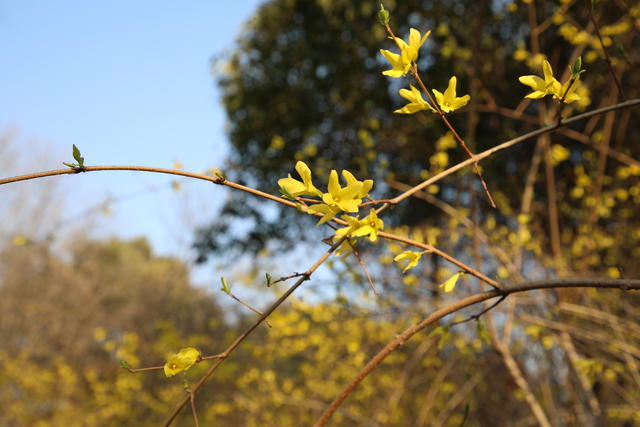 θ��������ˮ���Ϲ�Ż��