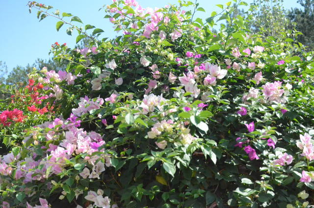 θ�����ϳ�ʲôʳ����θ